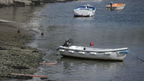 fowey boat 03