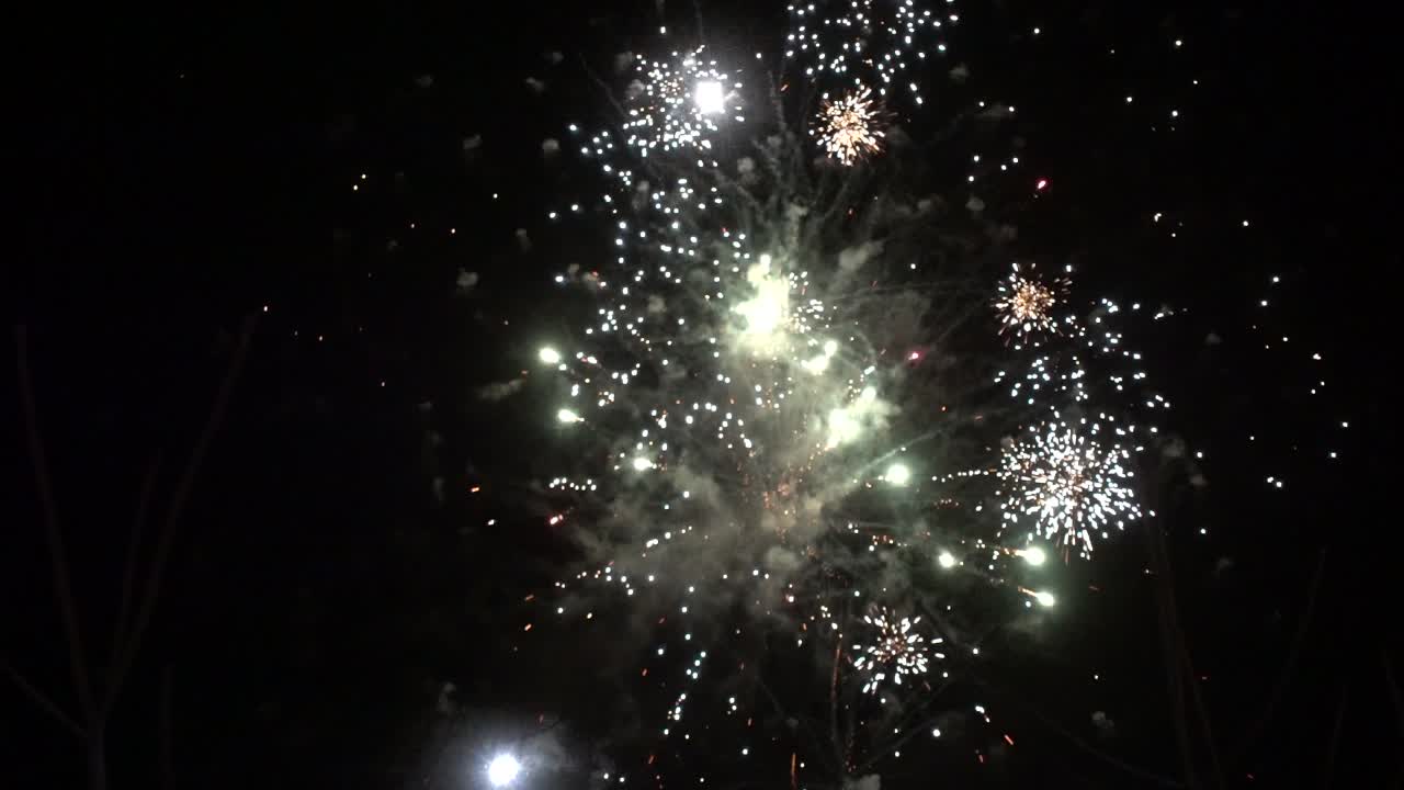 fuegos nocturnos mirando a través de las ramas full hd 60fps