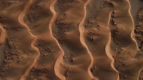 UAE-DESERT:-Drone-flying-over-breathtaking-massive-golden-sand-dunes-during-sunset,-Top-down-view-of-the-United-Arab-Emirates's-Wild-desert
