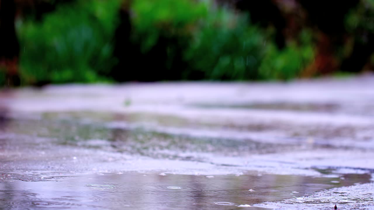 Rain Drops Falling To Asphalt