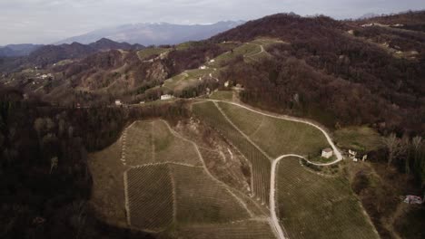 Aerial-panoramic-view-of-a-dirt-road-winding-through-vineyard-rows-in-the-prosecco-hills,-Italy,-on-a-winter-day