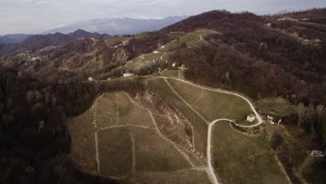 Vista-Panorámica-Aérea-De-Un-Camino-De-Tierra-Que-Serpentea-A-Través-De-Hileras-De-Viñedos-En-Las-Colinas-De-Prosecco,-Italia,-En-Un-Día-De-Invierno