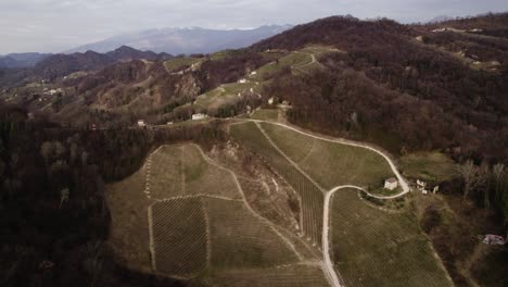 vista panorámica aérea de un camino de tierra que serpentea a través de hileras de viñedos en las colinas de prosecco, italia, en un día de invierno