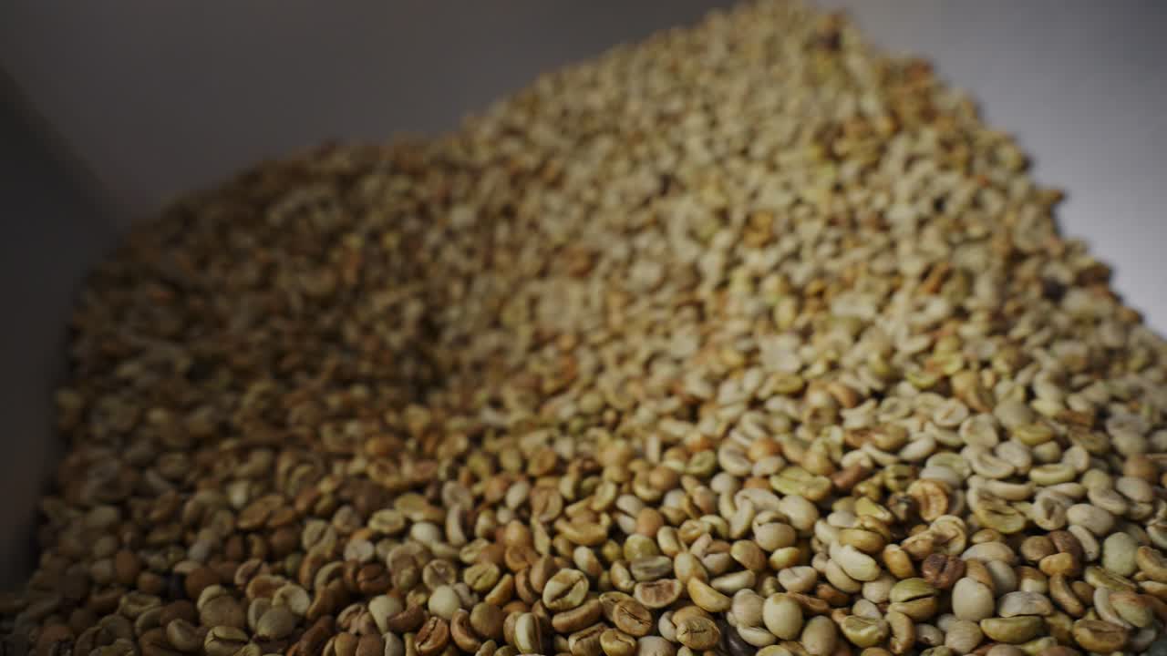 Pile of Green Coffee Beans