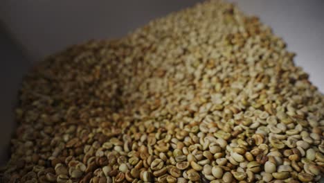 pile of green coffee beans