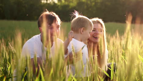 little smiling boy sitting in a wheat on the field. summer nature, walking outdoors. childhood happiness