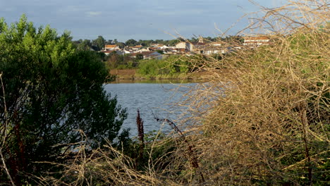 distant view of the village of saint-trojan-les-bains with the ocean flood protection basin, oleron island, france