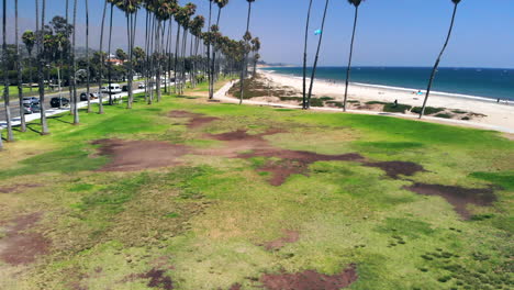 toma aérea volando rápido sobre un piloto de drones masculino hasta las palmeras y el océano pacífico azul en la costa arenosa de santa barbara, california