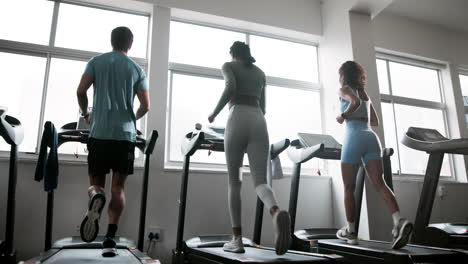 people working out on treadmills at the gym