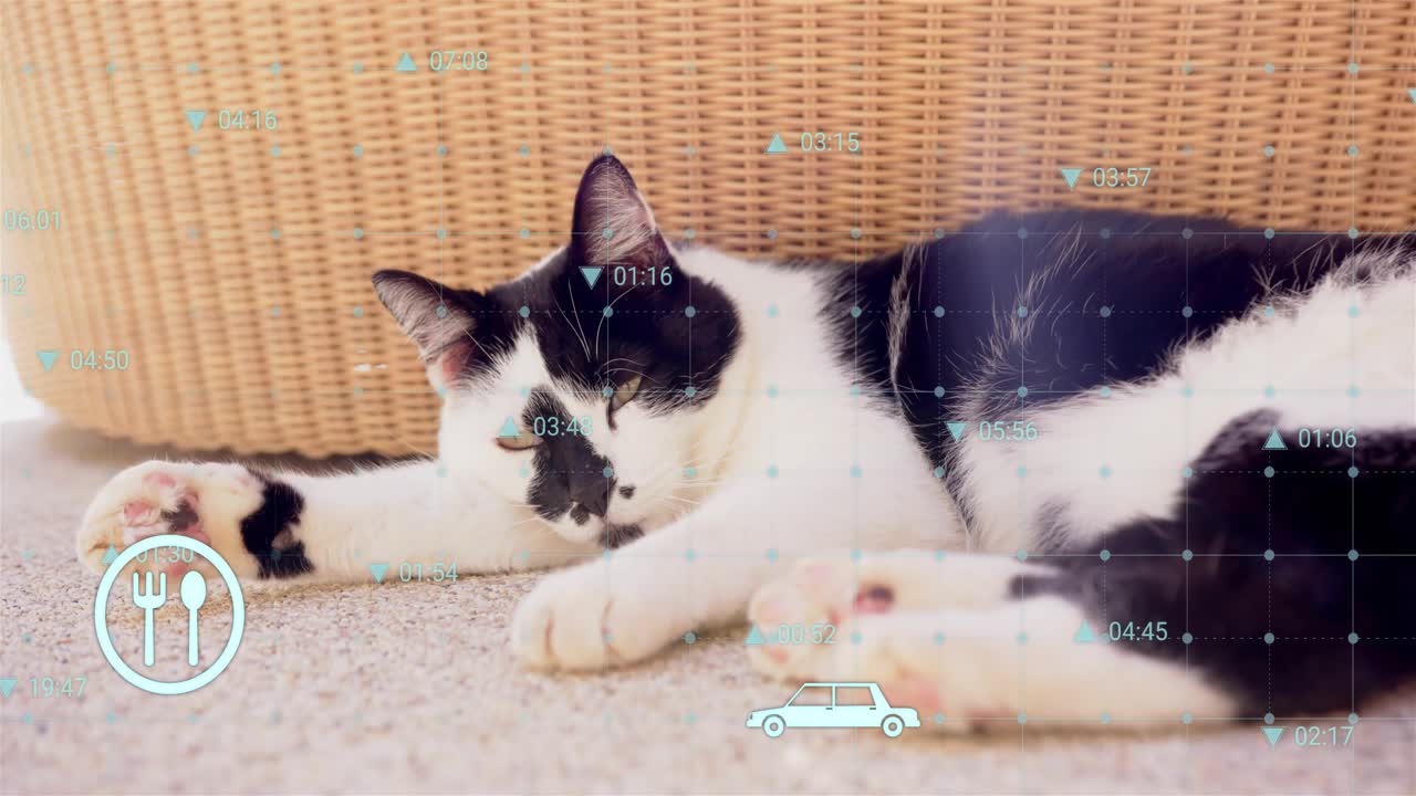 HUD icons fading in, cat lifting head and blinking while grid moving, showing status