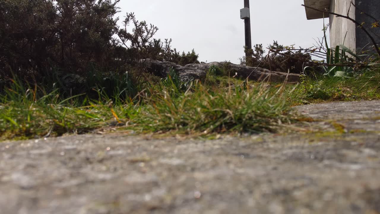 마네 아벨렌도, 갈리시아, 스페인의 드론 영상