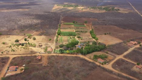 Desert-vegetable-farm,-testament-to-human-ingenuity-and-perseverance