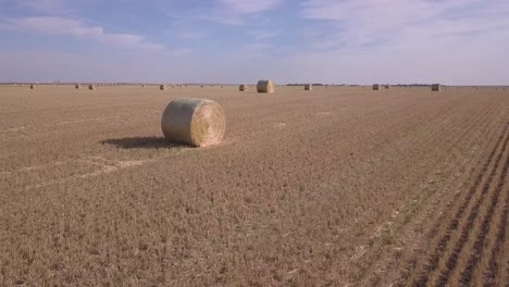 Niedrige-Luftige-Bis-Frisch-Geschnittene-Goldene-Runde-Heuballen-Mit-Klarem-Flachem-Horizont