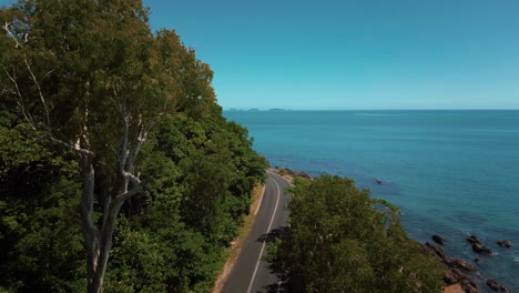 aerial drone bird view of road along the seaside coast with sandy beach and lush green tree forest and blue sea waves in 4k