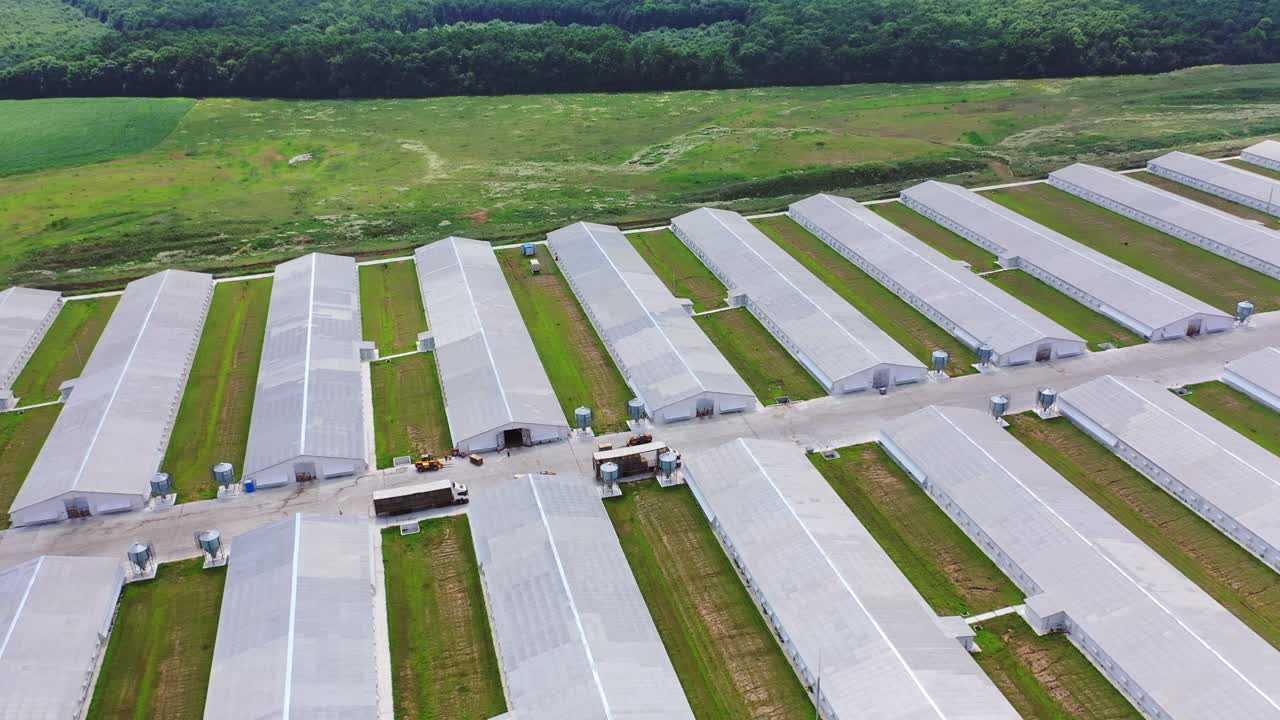 Farm buildings in countryside. Aerial view of building of the poultry farm in the field