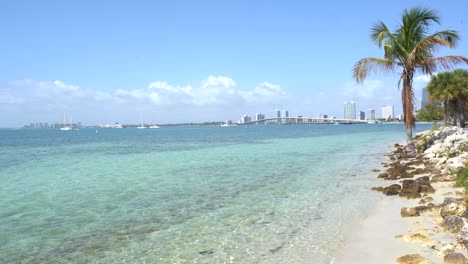 a postcard from miami, beach, white sand, ocean crystal water and the skyline as background