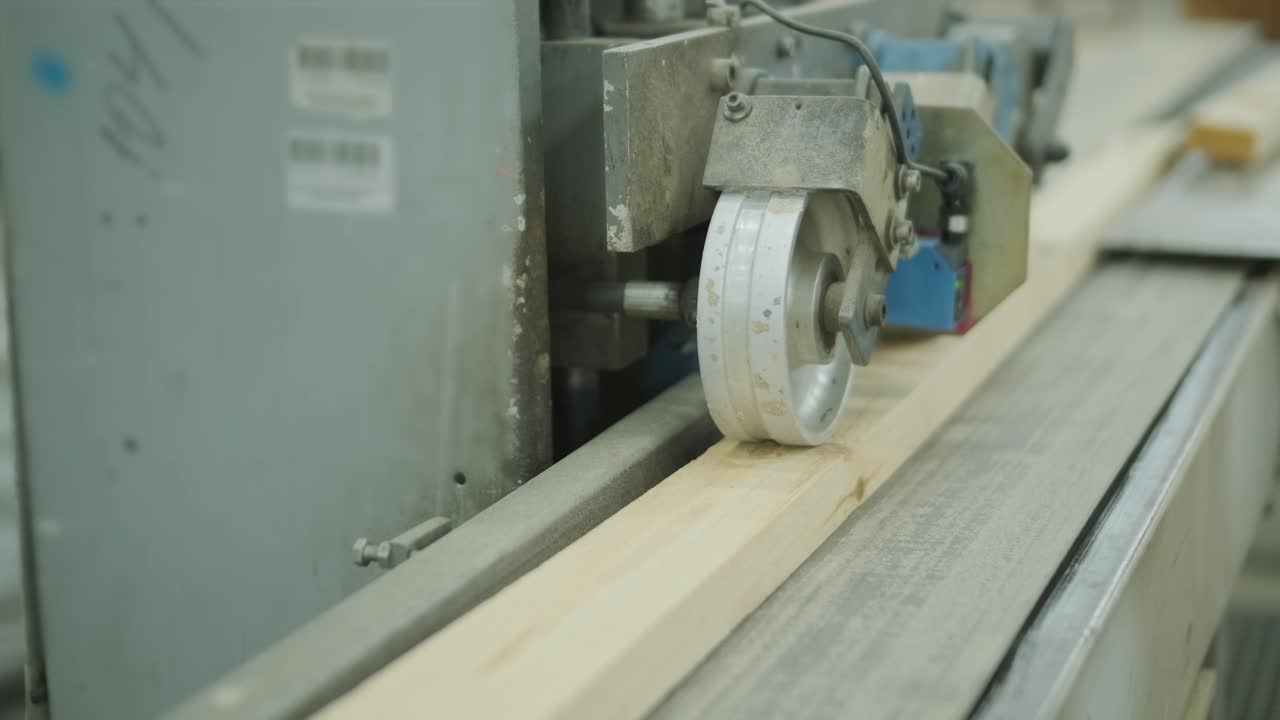 Wooden Plank Moving on a Conveyor Belt in a Wood Processing Factory