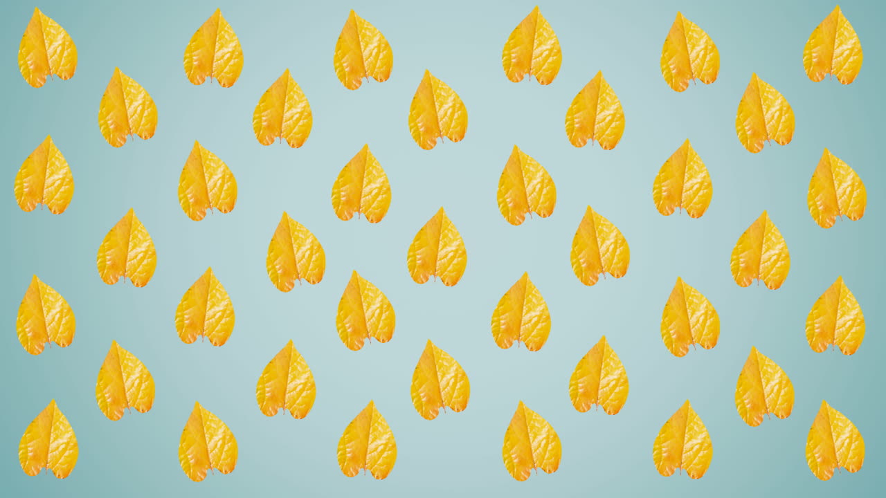 animación de filas de hojas amarillas de otoño sobre fondo azul