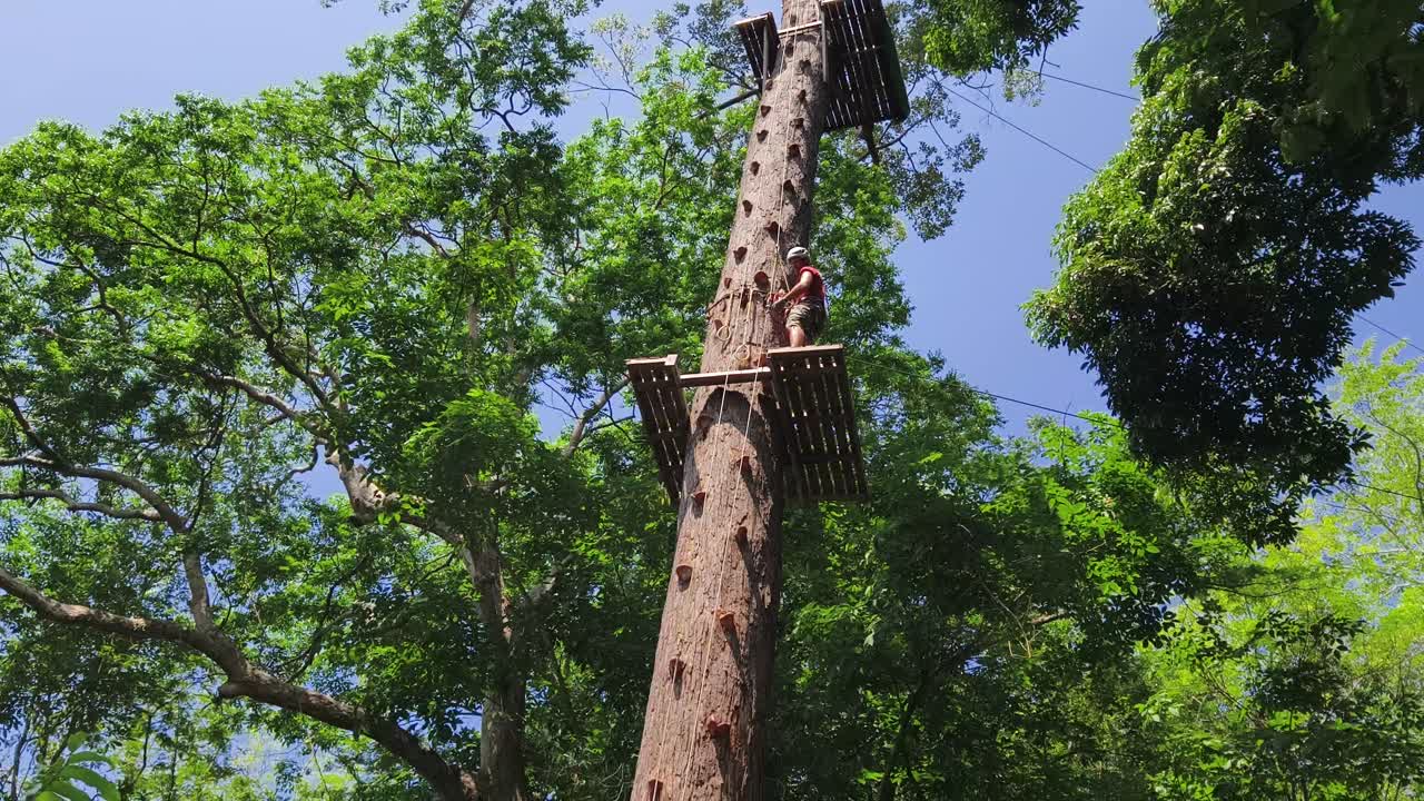 Person Climbing Treetop Adventure Course