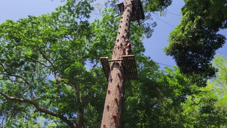 person climbing treetop adventure course