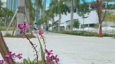 flor soplando en la brisa en el parque cerca de los turistas fuera de foco