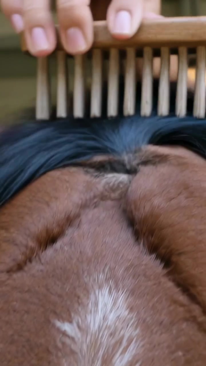 Vertical video: Brushing groomer starting smoothing cowlick on scalp at salon, using wooden brush