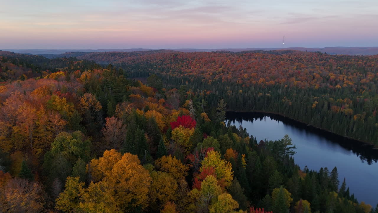 Aerial view at morning golden hour over a vibrant autumn forest, lake, and mountains in Mauricie, Quebec, Canada. Soft light reveals the rich fall colors