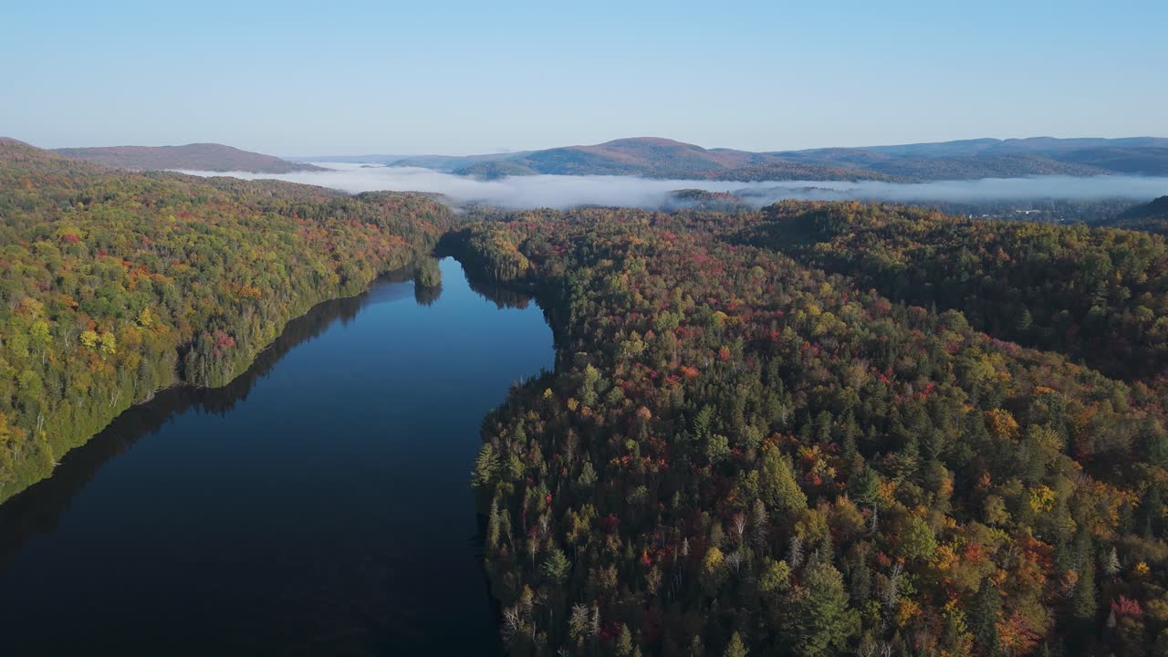 Aerial shot of forest in fall season with autumn colours, drone fly above scenic foggy mountains landscape with lake sunrise in misty Countryside
