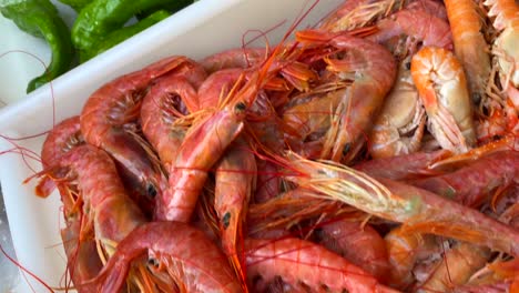 dynamic shot of seafood ready for bbq, razor clams, octopus, shrimps, scampis, green peppers, 4k