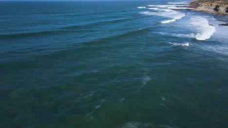 Aerial-view-of-three-surfers-in-the-water-waiting-for-the-perfect-waves-in-Ribeira-de-Ilhas,-Ericeira