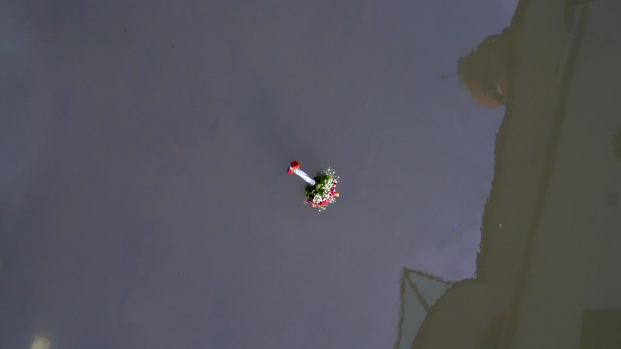 모스크의 반사와 함께 강에 떠 있는 꽃다발