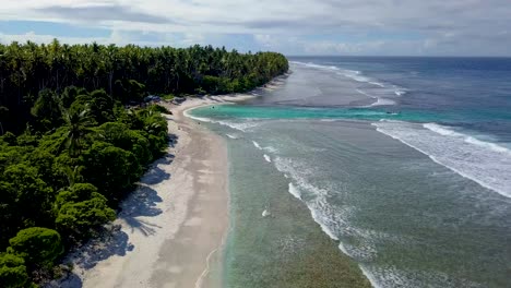 niekończące się gaje palmowe lub kokosowe i piękne plaże na rajskiej wyspie teraina wyspa kiribati mikronezja wyspy pacyfiku 1