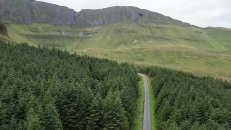 drone shot flying over a road and trees with glenniff horseshoe in the background