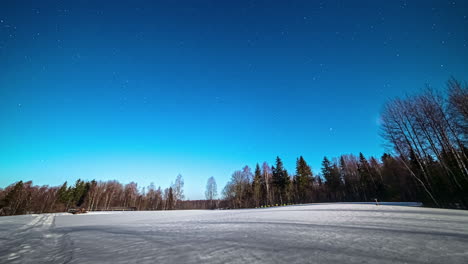 stars orbiting in night sky above snowy woods