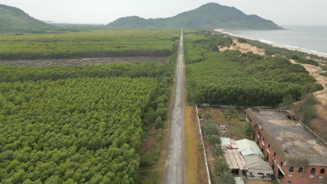 un avión no tripulado rastrea una motocicleta por una larga y recta carretera costera en el distrito de tam vi, vietnam.