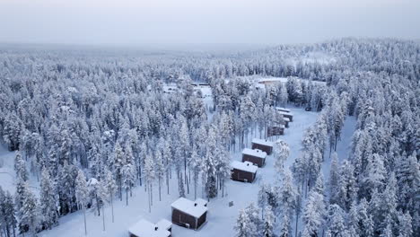 aerial view of snowy forest cabins in winter wonderland