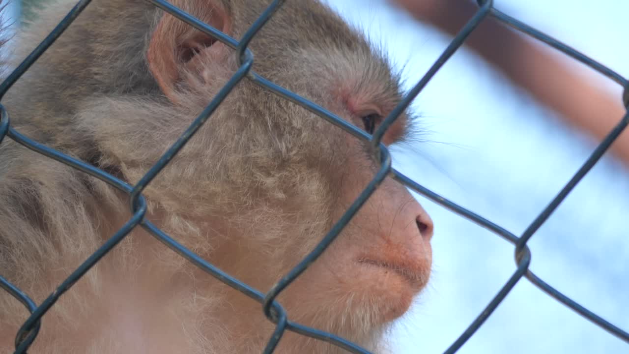 동굴에 힌 원이