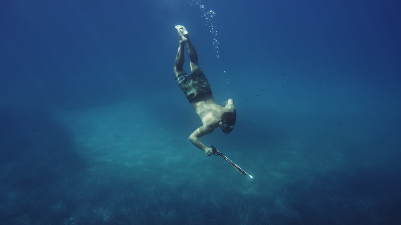 Freediver Spearfishing Underwater