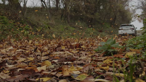 Flying-leaves-behind-white-car-driving-in-slow-motion,-autumn-colors-low-angle-closeup-view