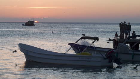 people´watch twilight on dock, boats coastline and birds fly, los roques venezuela