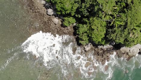 vista aérea de la costa rocosa bordeada por una exuberante vegetación forestal