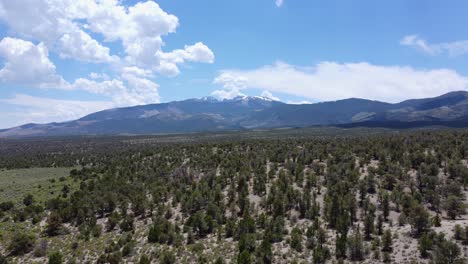 crane shot of wheeler peak mountain in northern nevada from the forest below. tall mountain towering over the forested valley, still with some snow on it, and contrasted by fluffy clouds.