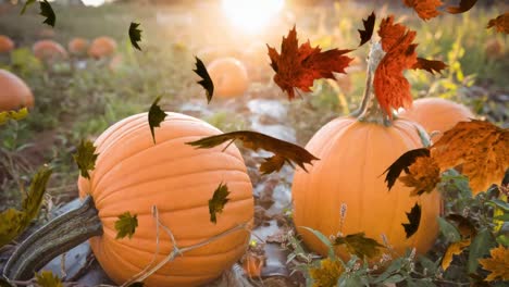 animation of autumn leaves falling over pumpkin patch