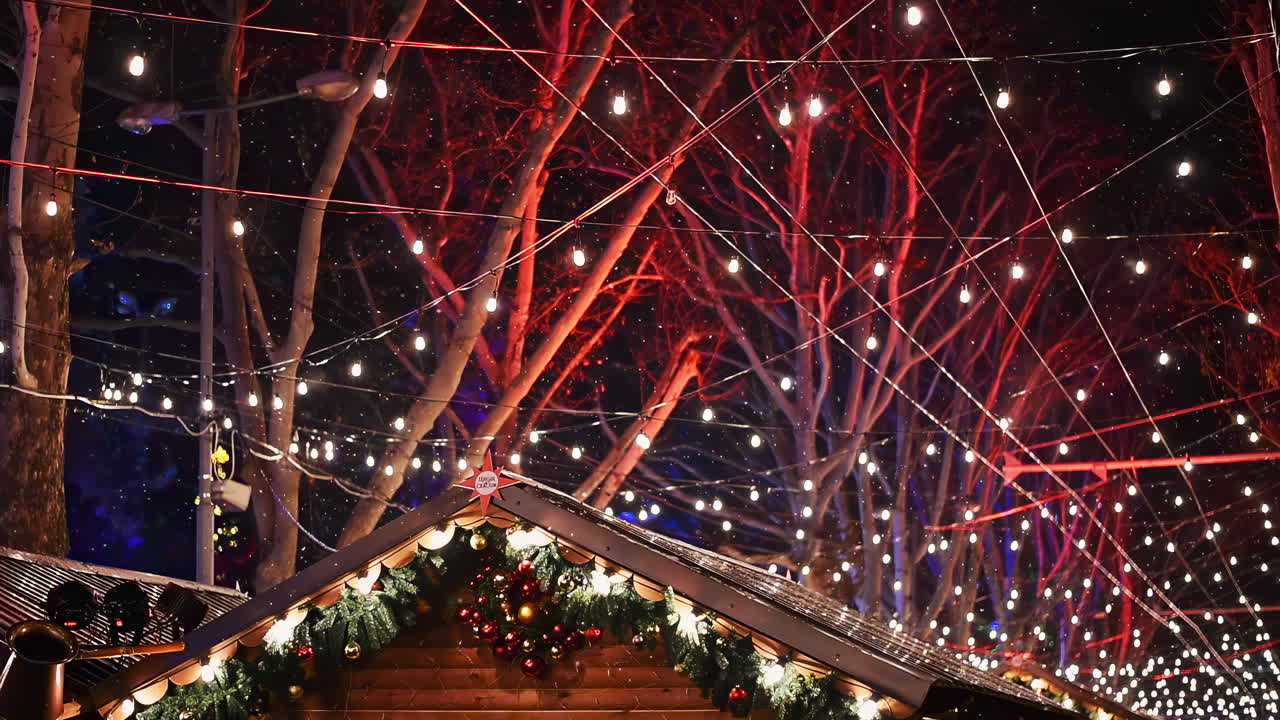 Enjoy a magical winter night as bright holiday lights brighten the trees in the park, creating a festive atmosphere for visitors. Celebrate the season with joy and warmth