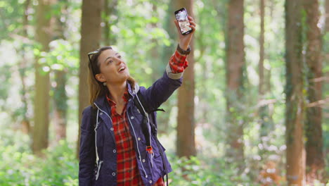 Mujer-En-Una-Caminata-Por-El-Bosque-Con-Videollamada-Por-Teléfono-Móvil