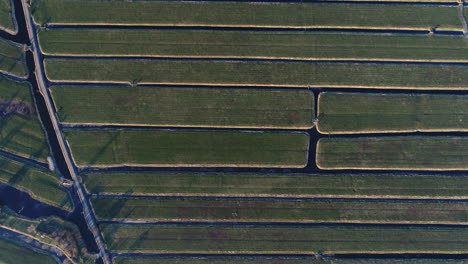 Aerial-View-Of-Vast-Green-Field-With-Frozen-Ditches-During-Winter-At-Stolwijk-In-Krimpenerwaard,-Netherlands