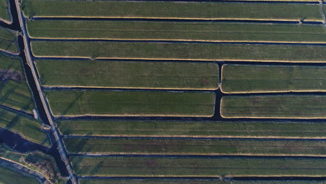 aerial view of vast green field with frozen ditches during winter at stolwijk in krimpenerwaard, netherlands