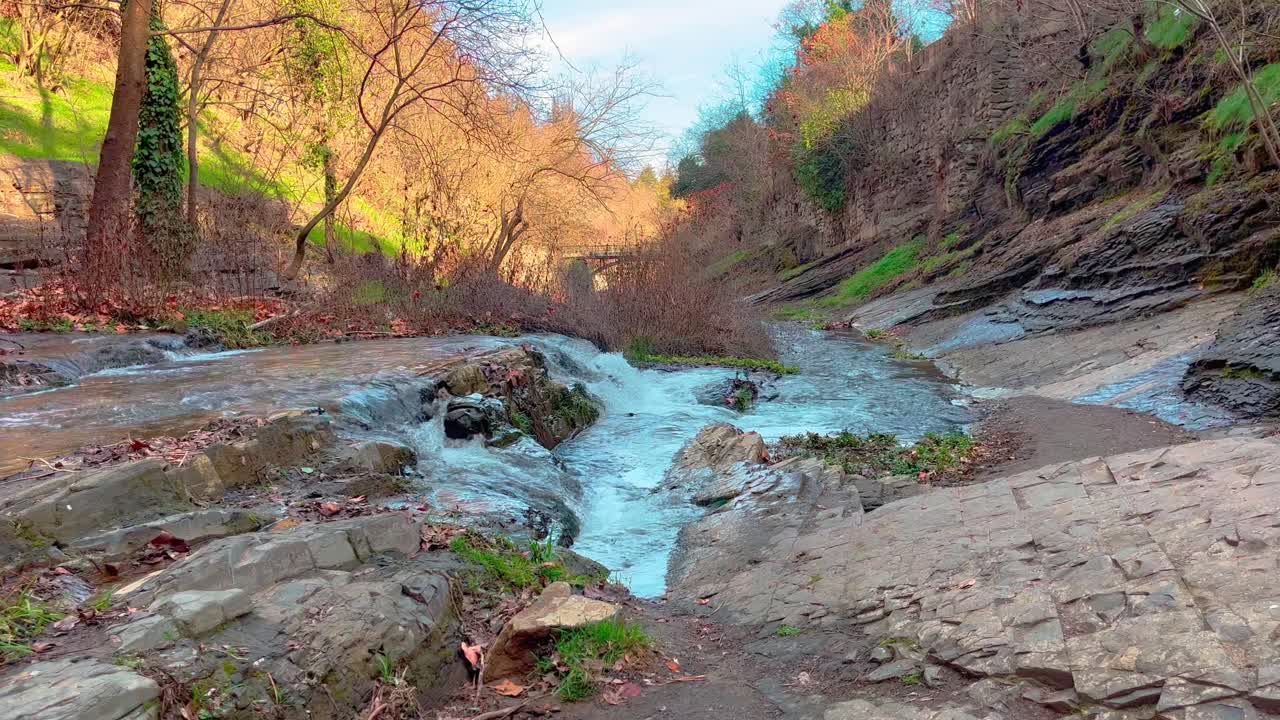 Una piccola cascata nella foresta