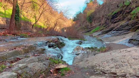 a small waterfall in the forest