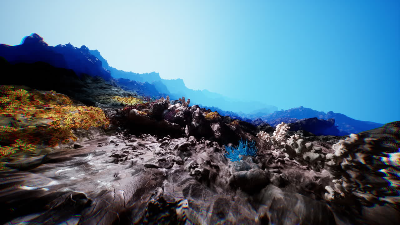 아름다운 산호초 수중